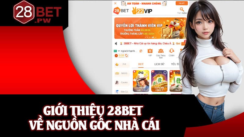 Giới thiệu 28BET về nguồn gốc nhà cái