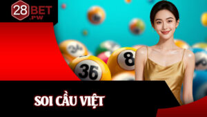 Soi Cầu Việt